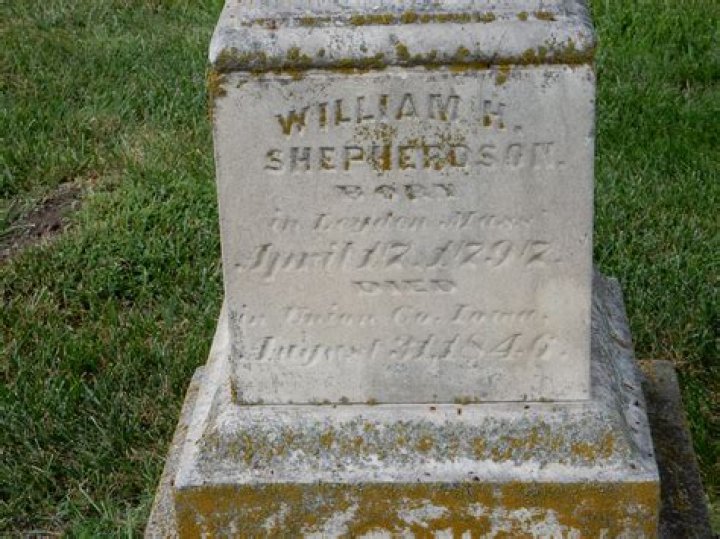 
Henry Shepherdson Facts, Age, Birthday, Wikipedia, Who, Nationality, Biography 