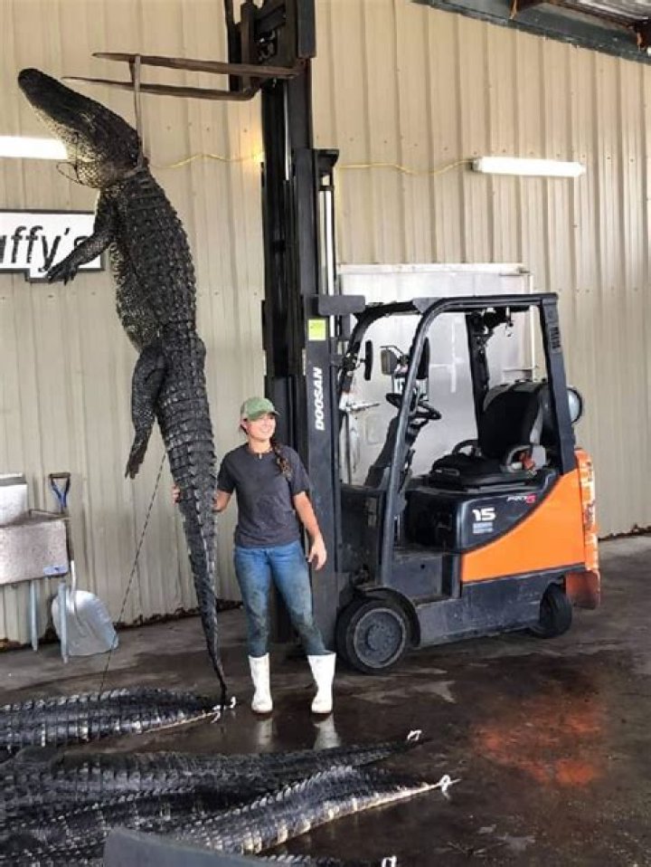 Peter Herrndorf Height, Weight, Net Worth, Age, Birthday, Wikipedia, Who, Instagram, Biography