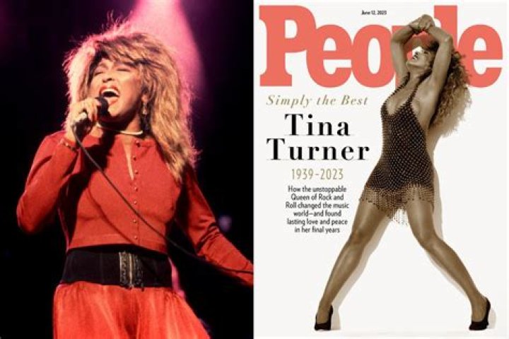 Tina Turner Death Hoax: Illness And Health Update- Has She Cured With Stroke?