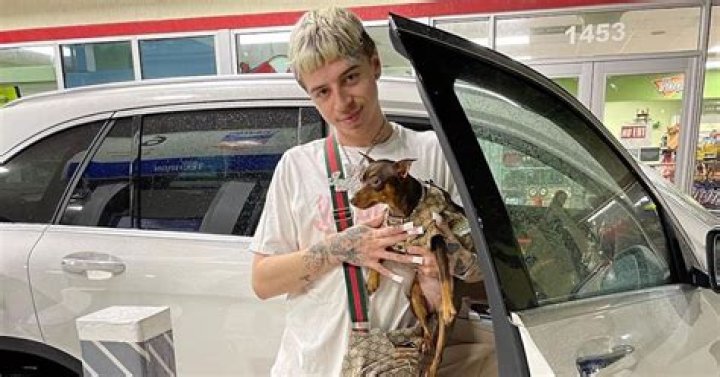 
Why was Icy Wyatt arrested? 